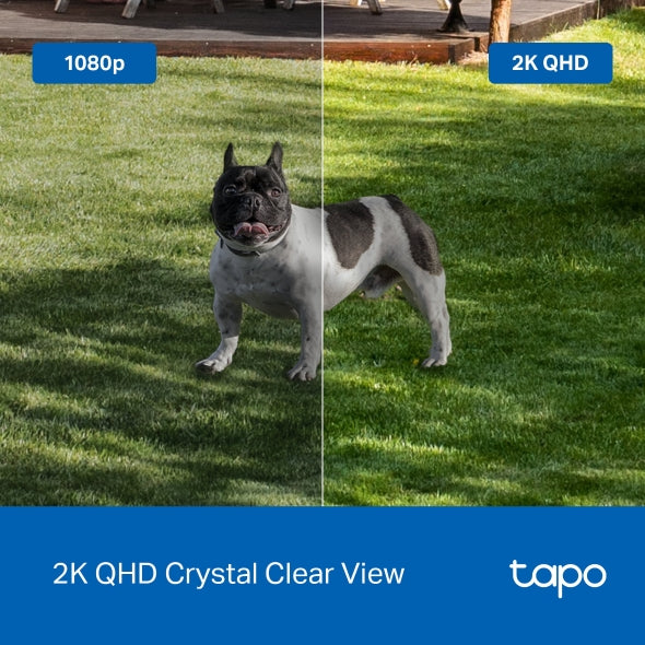 Tapo C425 Smart Wire-Free Home Security Camera Tapo C425 Smart Wire-Free Home Security Camera