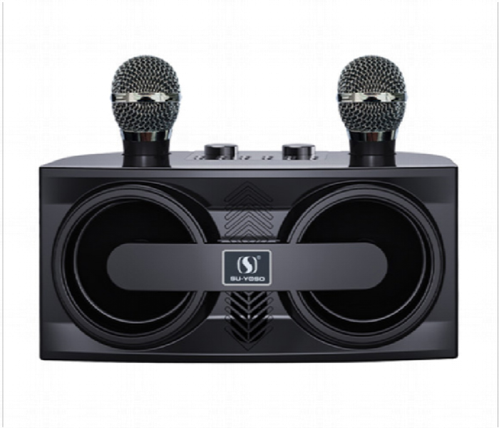 Smartberry M25 Karaoke Speaker with Wireless USB & Micro SD Support