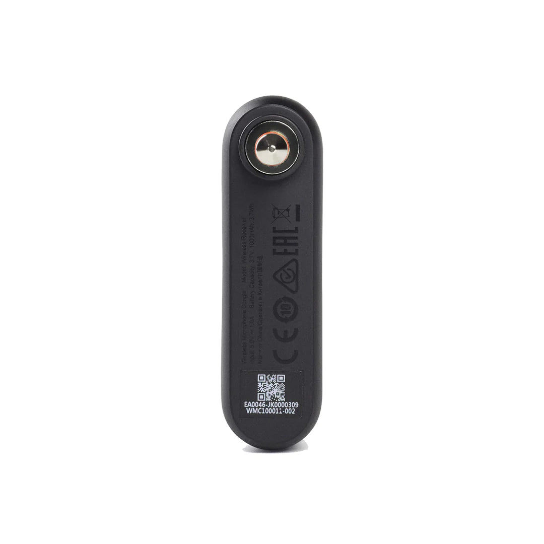 JBL Wireless Mic - Wireless Two Microphone System