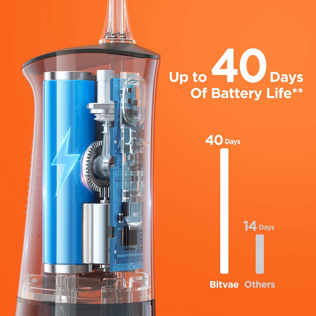 Bitvae C2 Water Flosser Black