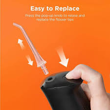 Bitvae C2 Water Flosser Black