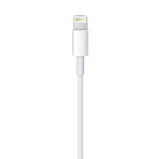 Apple Lightning USB Cable 1M Apple Lightning USB Cable 1M